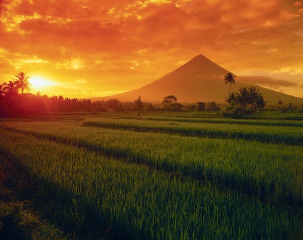 mayon